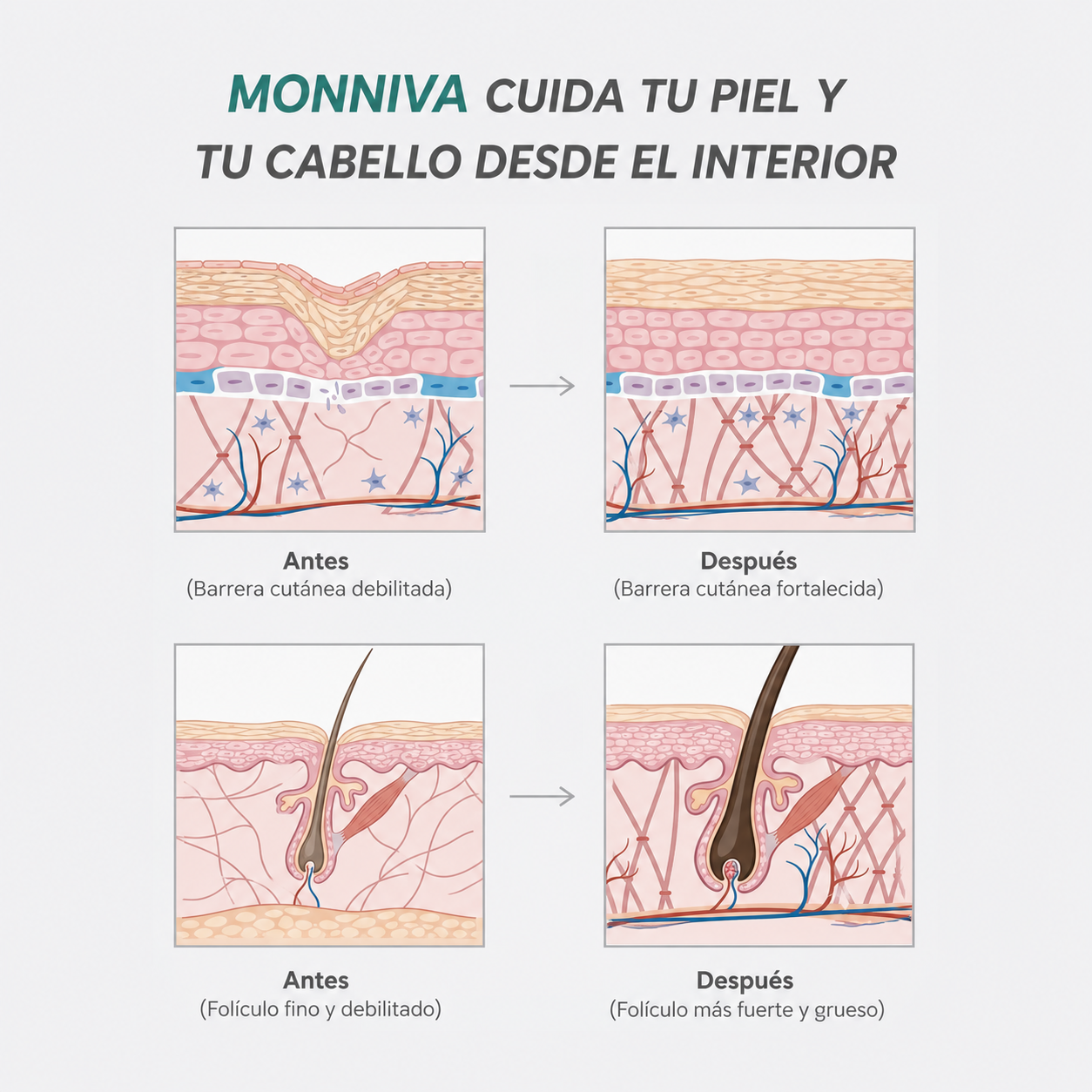 Dispositivo de Alta Frecuencia Monniva